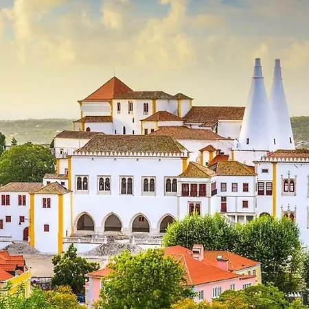 Totally Tour Portugal Lda *